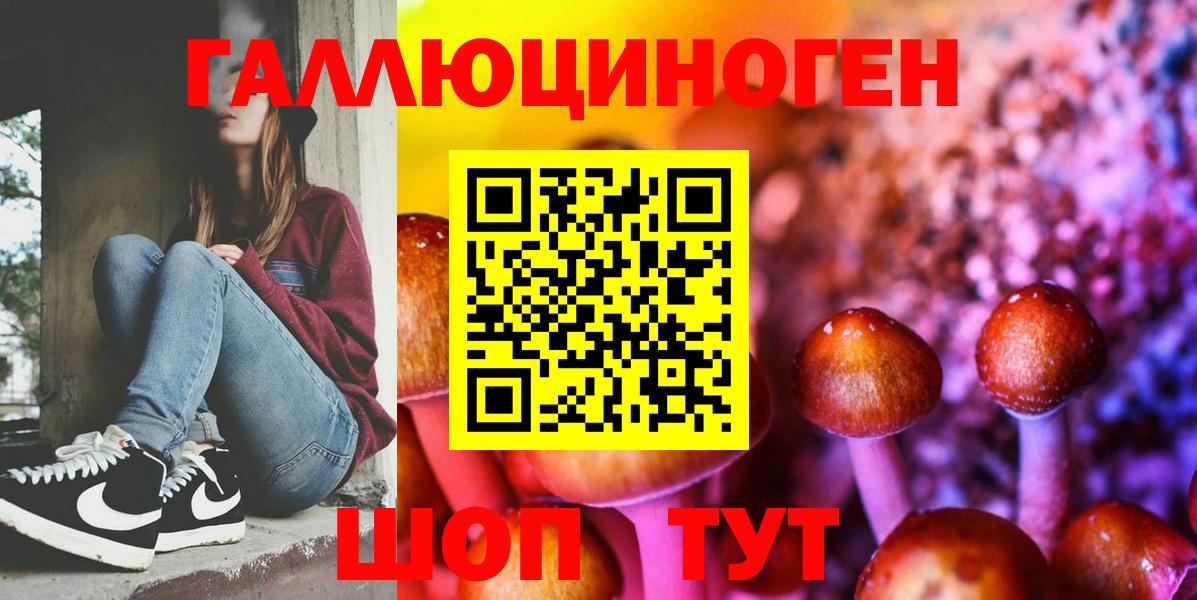 Сибай  Псилоцибиновые грибы Cubensis  Вход с VPN 